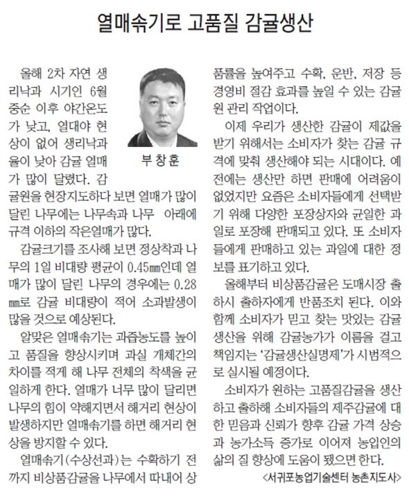 직원기고-열매솎기로 고품질 감귤생산 [제민일보-2015.9.14.]